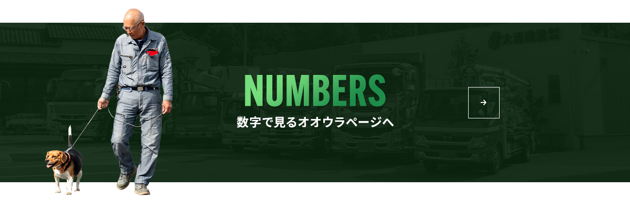 bn_numbers